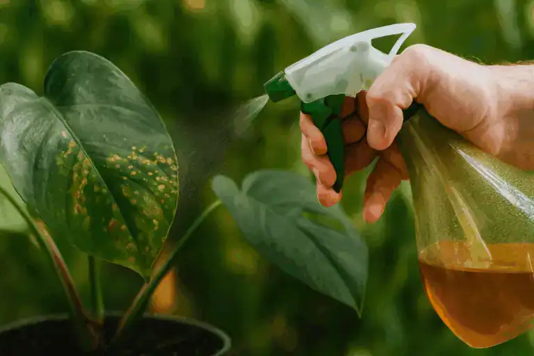 Fight pests and plant diseases without harsh chemicals.