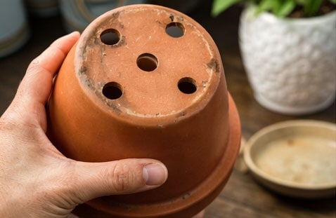Bottom of a terracotta pot showing multiple drainage holes.